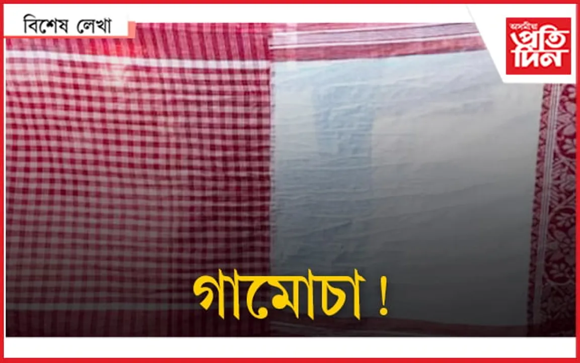 হাইব্ৰীড গামোচা!