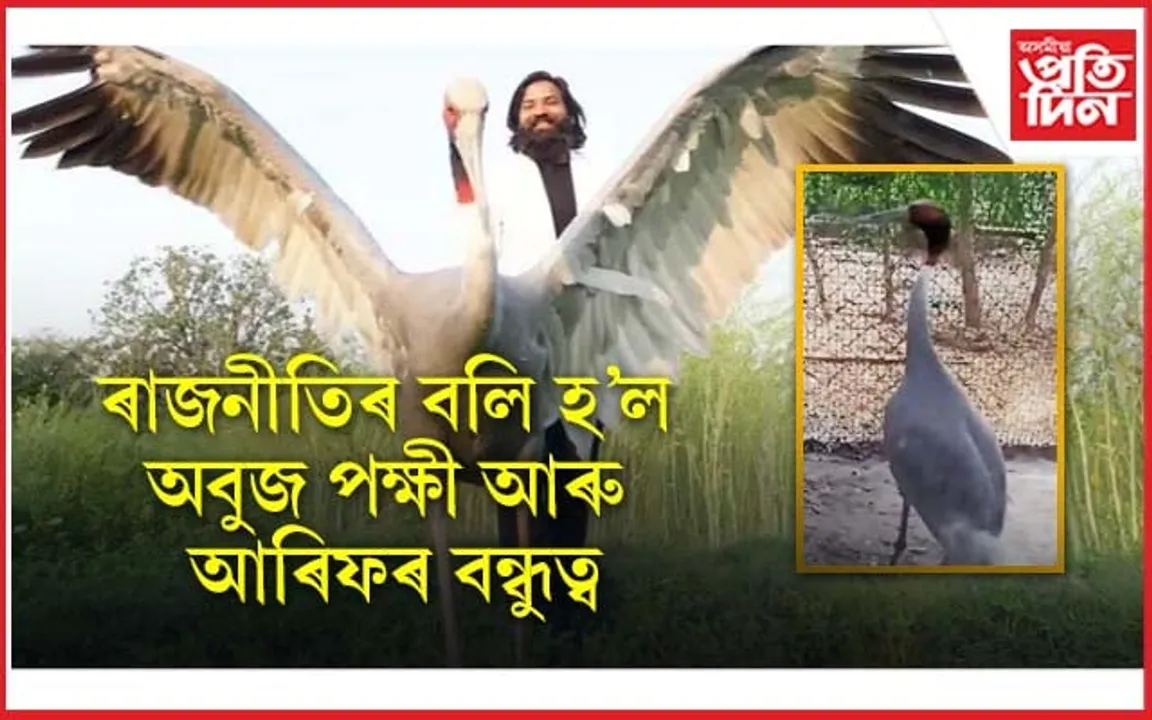 ৰাজনীতিয়ে বিচ্ছেদ কৰিলে দুই বন্ধুক ! চিৰিয়াখানাত অবুজ বন্ধুৱে বাদ দিছে খাবলৈ...