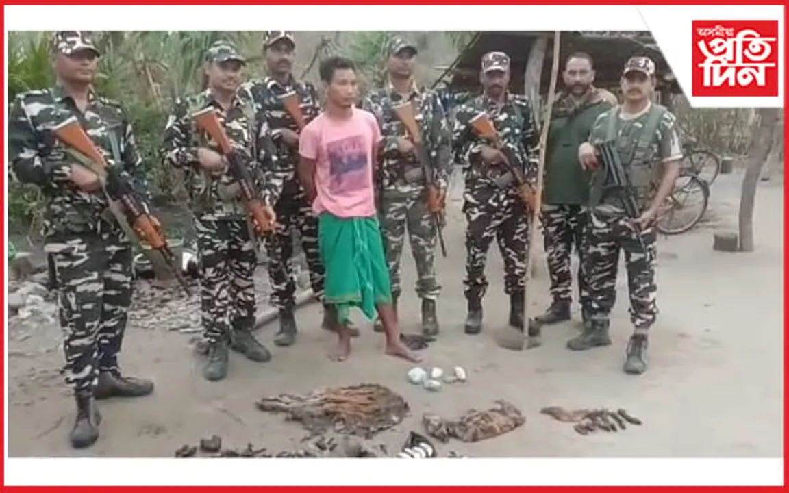 চিৰাঙত এছ এছ বিৰ অভিযানঃ উদ্ধাৰ  ঢেঁকীয়াপতীয়া বাঘৰ ছাল, অংগ প্ৰতঙ্গ