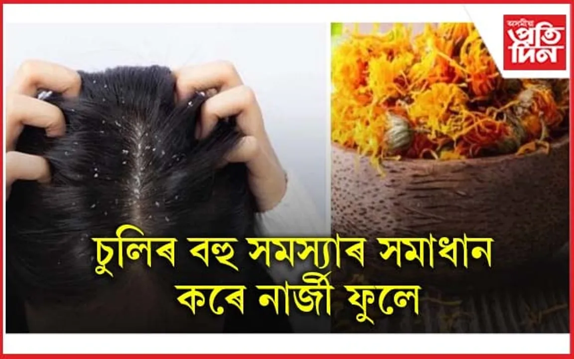 চুলিত কিদৰে নাৰ্জী ফুল ব্যৱহাৰ কৰিব লাগে জানি লওক