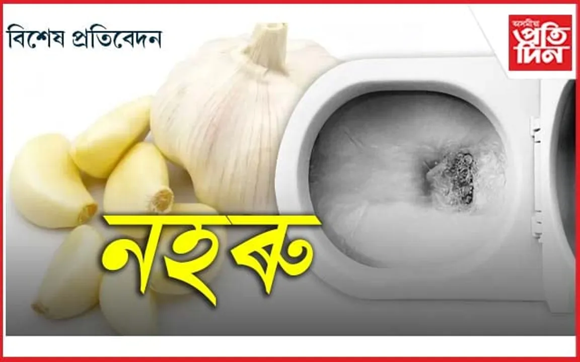 খাবলৈ নহয়, টয়লেট চাফা কৰিবলৈও ব্যৱহাৰ কৰক 'নহৰু'