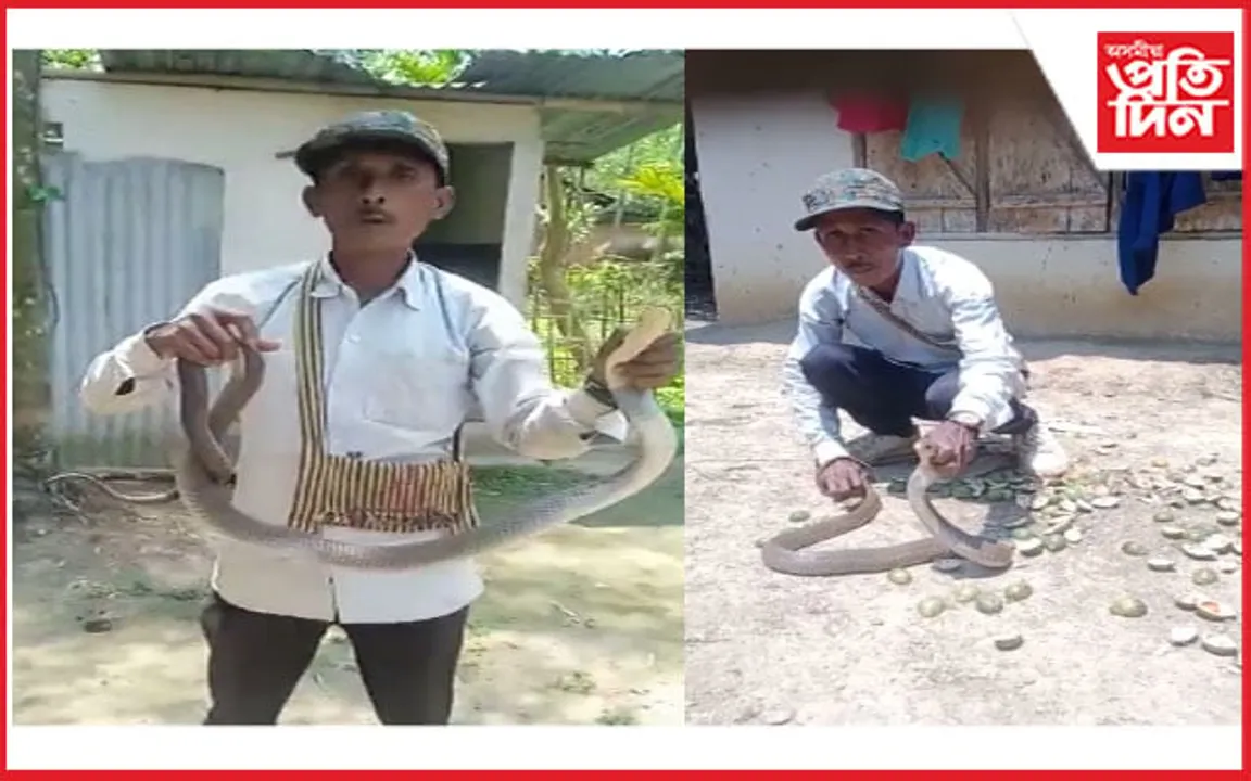 চাপানালাত দুডালকৈ চকৰি ফেঁটী সাপ উদ্ধাৰ...