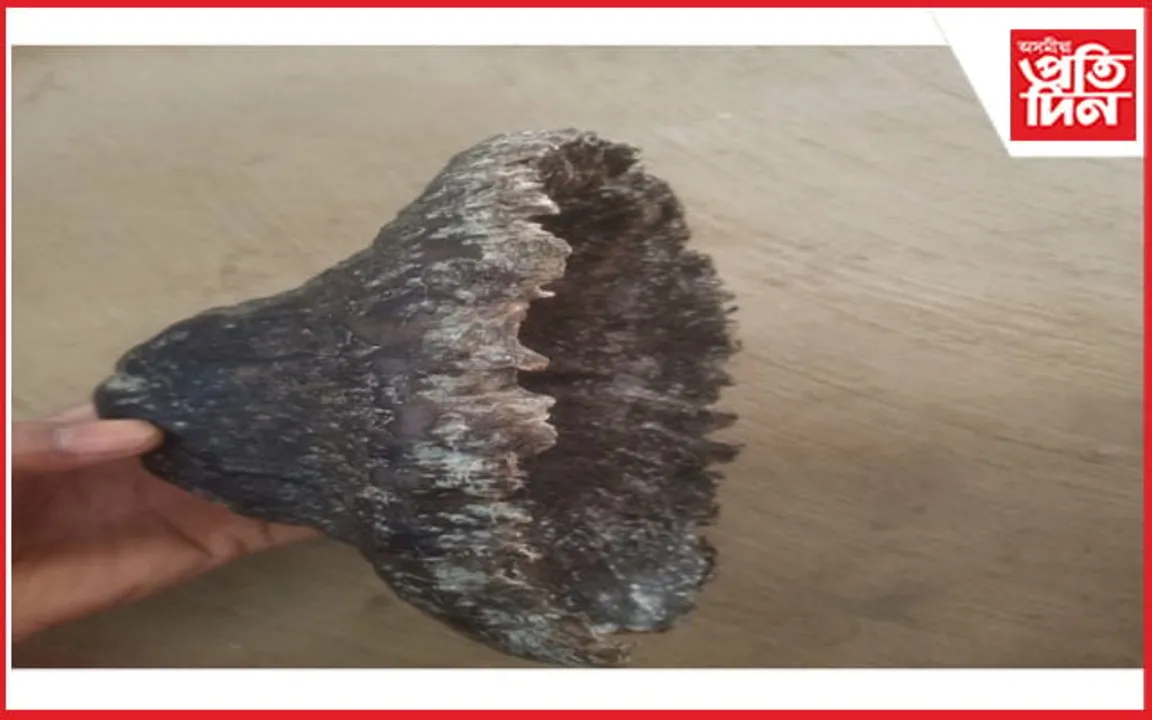 বিহুৰ দিনাই বটদ্ৰৱাত অপৰাধীলৈ আৰক্ষীৰ গুলী চালনা...