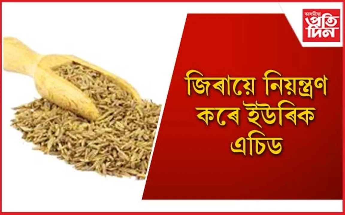 চিকিৎসকৰ সহায়ৰ অবিহনেও নিয়ন্ত্ৰণ কৰিব পাৰি ইউৰিক এচিড