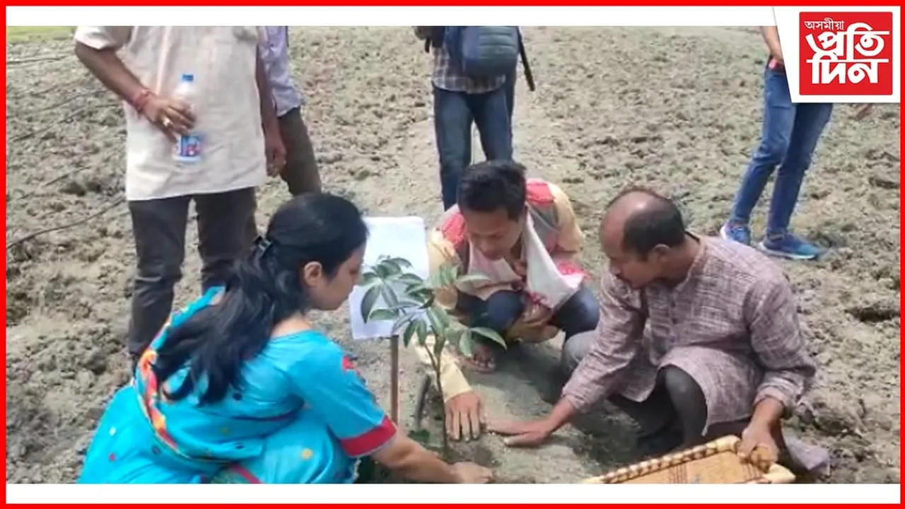 মাজুলীৰ মালাপিন্ধাত আদৰ্শ ফলমূলৰ বাগান প্ৰকল্প শুভাৰম্ভ