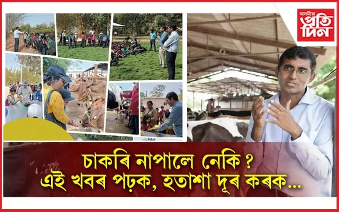 আমেৰিকাৰ চাকৰি এৰি আৰম্ভ কৰিছিল গাখীৰৰ ব্যৱসায়ঃ দৈনিক উপাৰ্জন ১৭ লাখ...