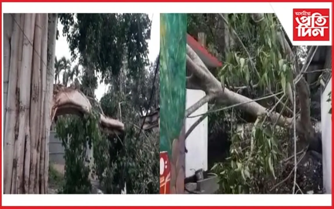 লামডিঙত প্ৰচণ্ড শিলাবৃষ্টি: ব্যাহত যাতায়ত-বিদ্যুতৰ সেৱা...