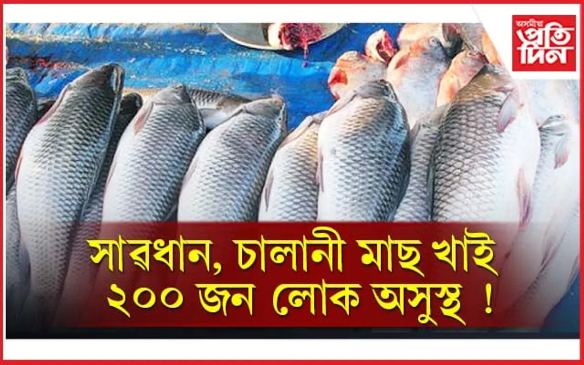 মৃতদেহ সংৰক্ষণ কৰা ফৰ্মেলিন চালানী মাছত ব্যৱহাৰ ! সেই মাছ খাই ২০০ লোক অসুস্থ...