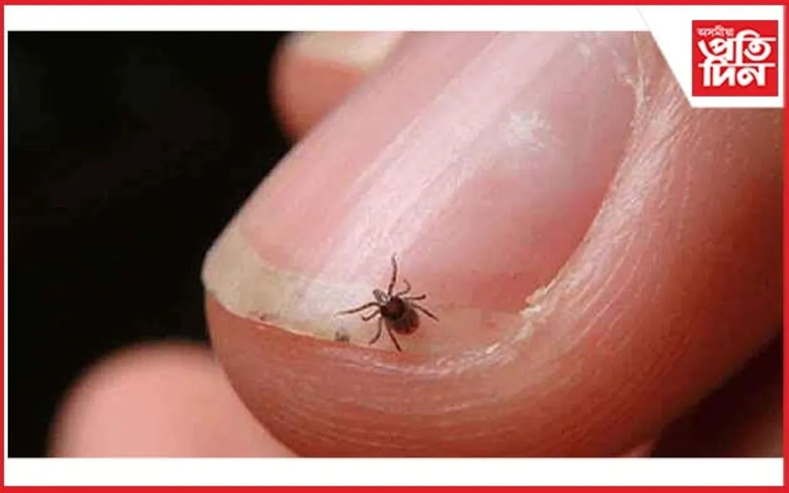 সাৱধান, ষ্ক্ৰব তায়ফছত ভোগীব পাৰে আপুনিও...