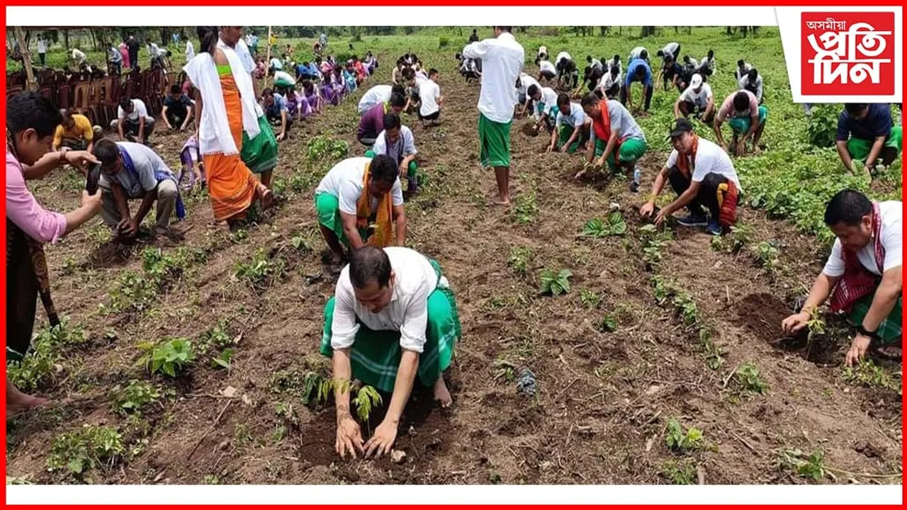 বিশ্ব পৰিৱেশ দিৱস উপলক্ষে বাক্সাত এবছুৰ পাঁচ হাজাৰৰো অধিক গছপুলি ৰোপণ...