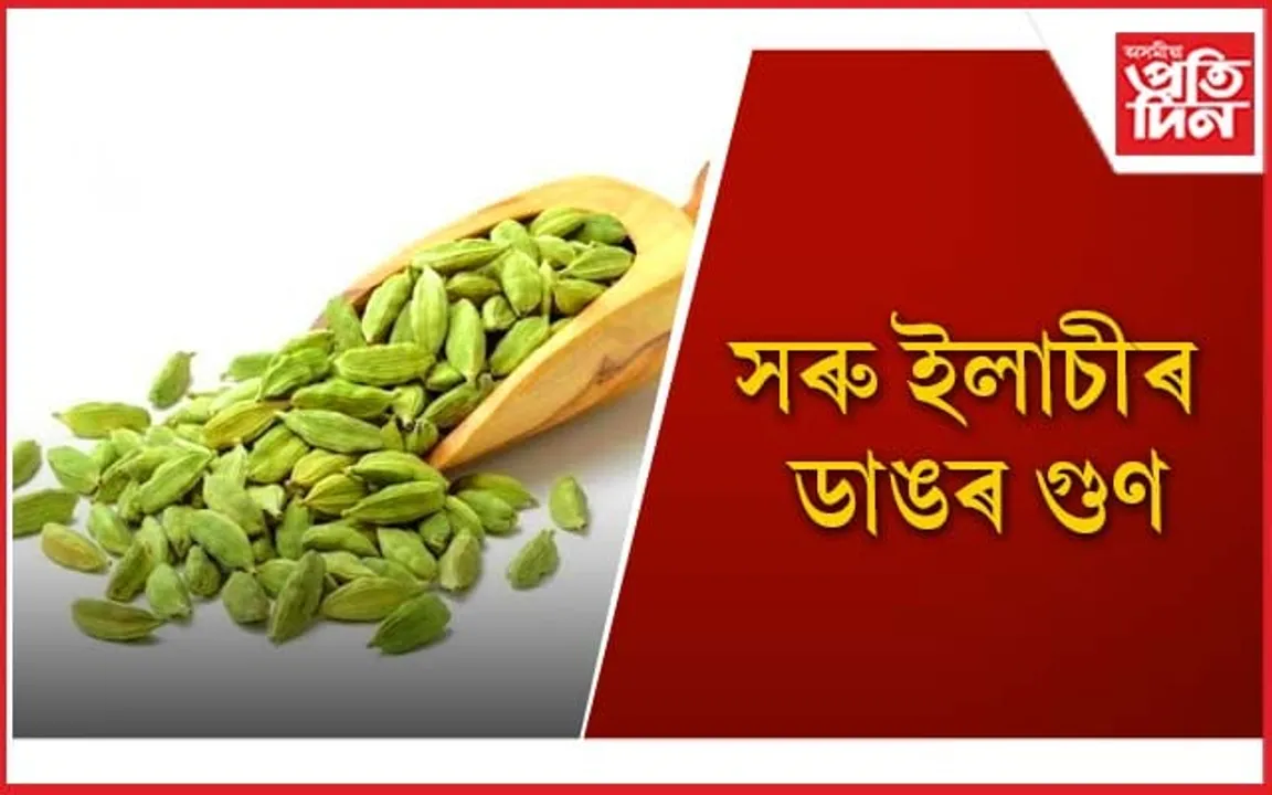 স্বাস্থ্যৰ বাবে আশীৰ্বাদস্বৰূপ ইলাচী, আপুনিও খোৱা আৰম্ভ কৰক 