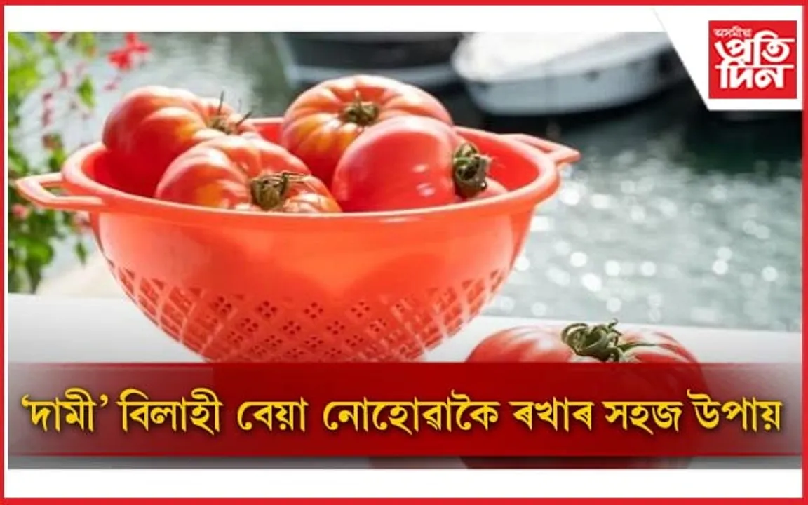 বিলাহীৰ সতেজতা কিদৰে অক্ষুন্ন ৰাখিব পাৰি জানেনে ?
