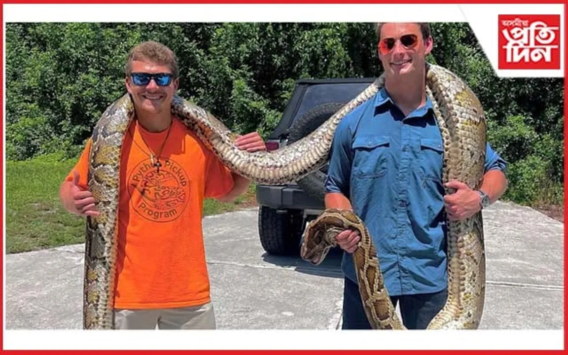 উদ্ধাৰ হ'ল বিশ্বৰ আটাইতকৈ দীঘল বাৰ্মিজ পাইথন...