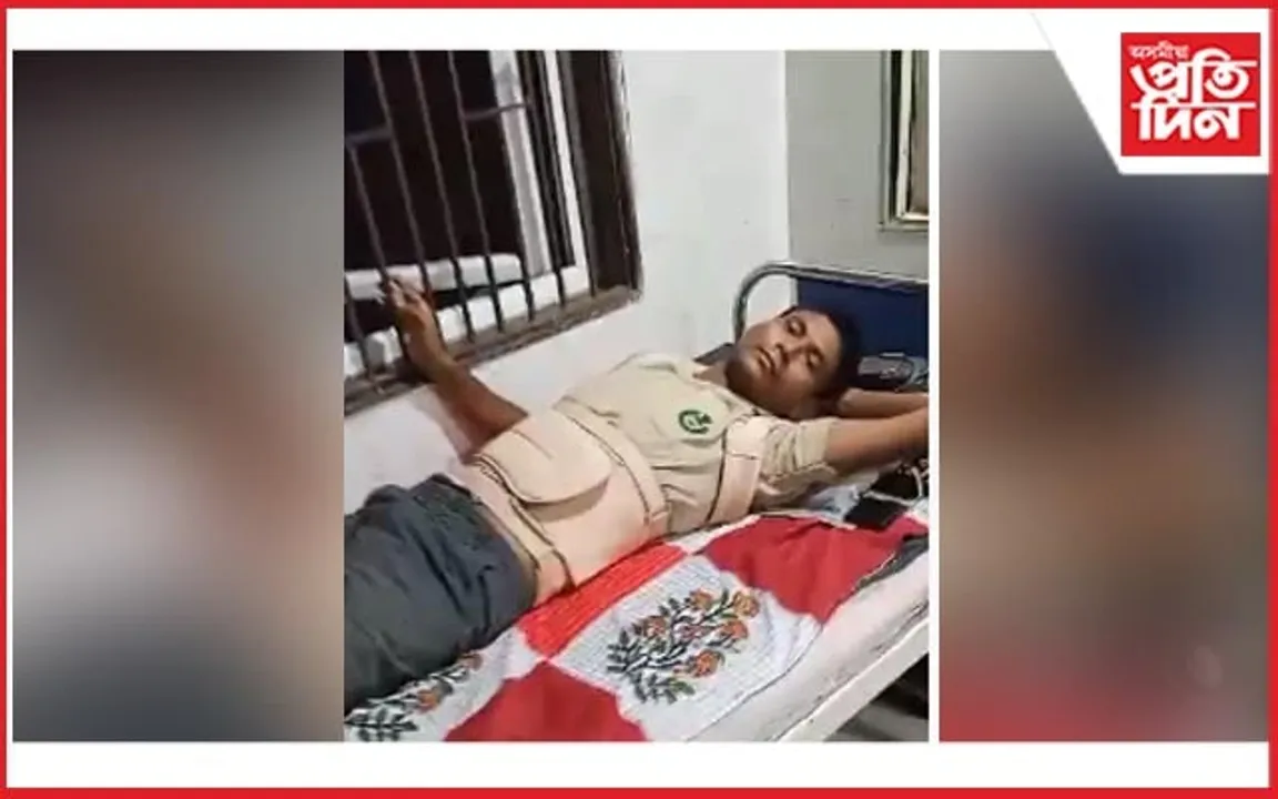 হাতীৰ পৰা পৰি আহত বনকৰ্মী