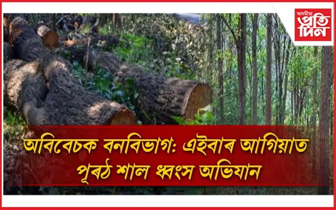 কৃষ্ণাইৰ পাছত এইবাৰ পাল আগিয়াৰঃ গোৱালপাৰাত পুনৰ বন ধ্বংসযজ্ঞ...