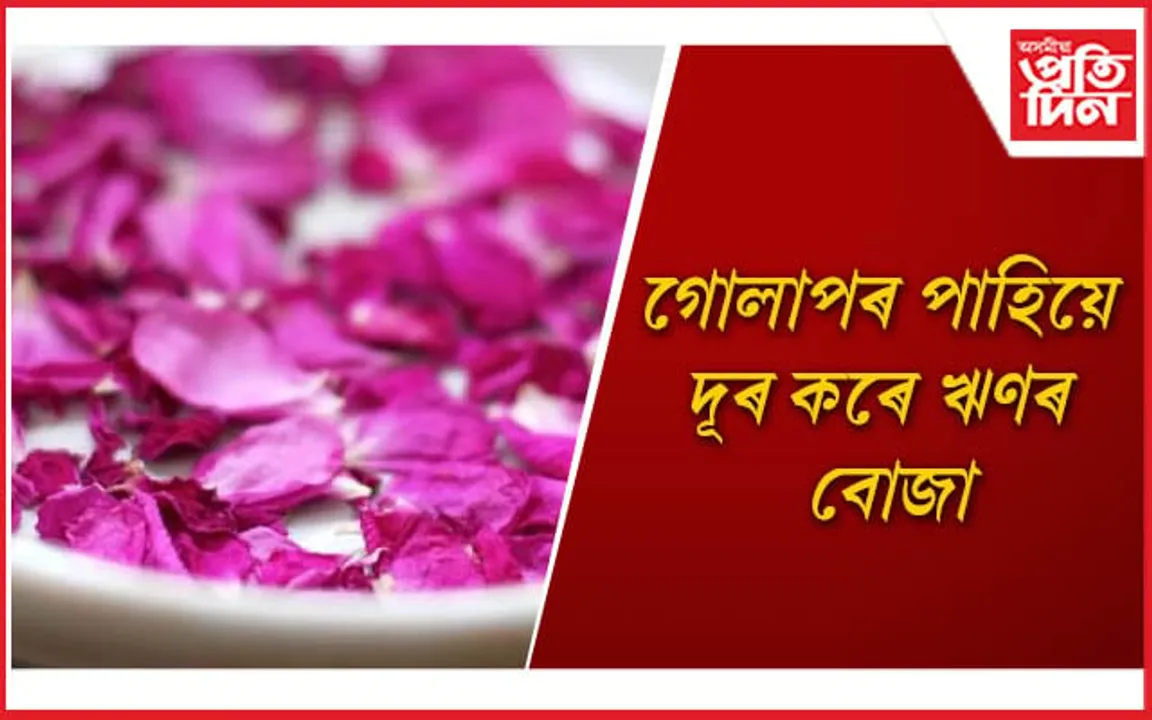 ধন সম্পৰ্কীয় সকলো সমস্যা দূৰ কৰিবলৈ ঘৰত ৰাখক গোলাপৰ পাহি 