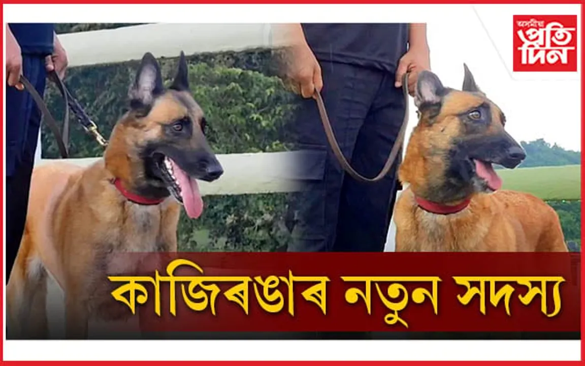 মিছকীয়েও ল'ব কাজিৰঙাৰ সুৰক্ষাৰ দায়িত্ব...