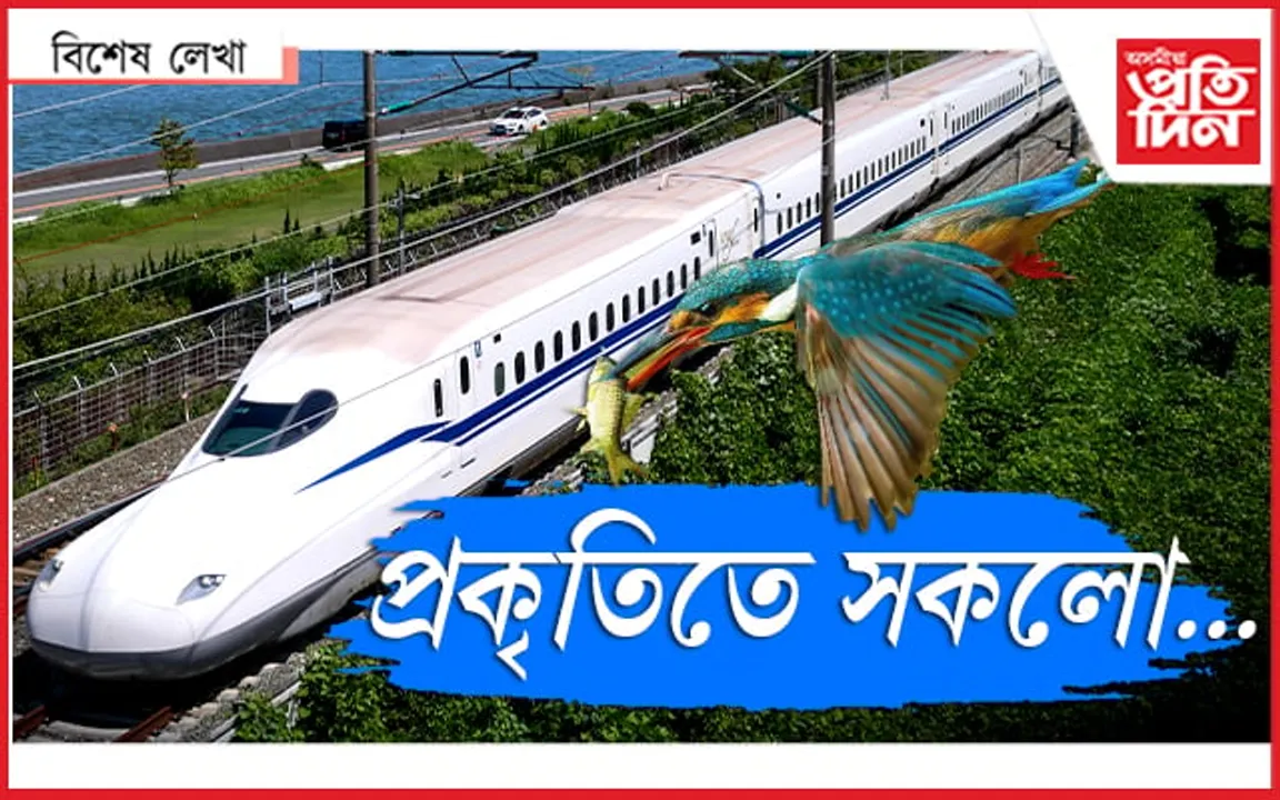 বুলেট ট্ৰেইনৰ ইঞ্জিনীয়াৰ- মাছৰোকা !