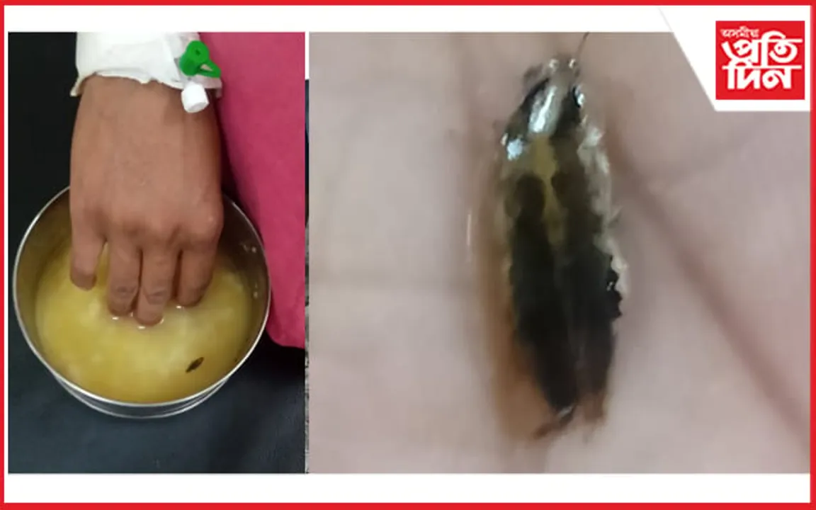 ছহিদ কনকলতা বৰুৱা চিভিল হাস্পতালৰ প্ৰসূতি মাতৃক দিয়া খাদ্যত মৃত পঁইতাচোৰা...