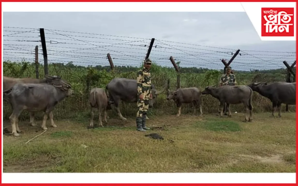 কাছাৰত বি এছ এফে জব্দ কৰিলে ৭ টা ম'হ