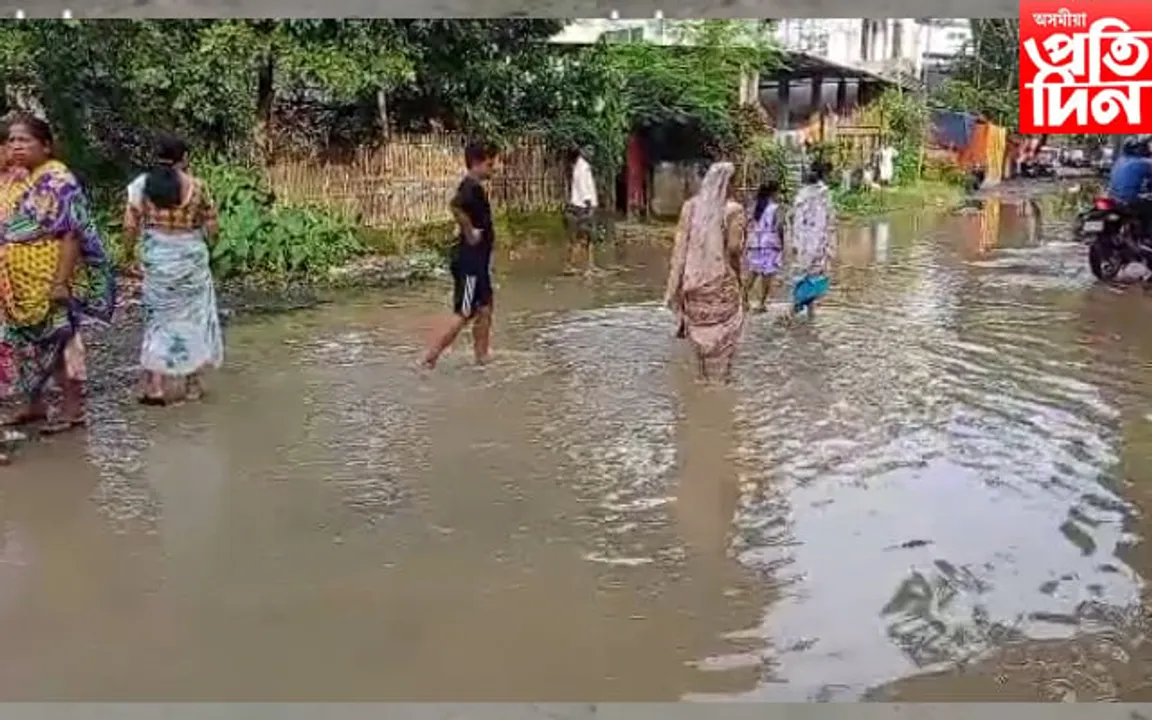  ডিব্ৰুগড়ৰ বিভিন্ন প্ৰান্তত কৃত্ৰিম বানৰ সংহাৰ