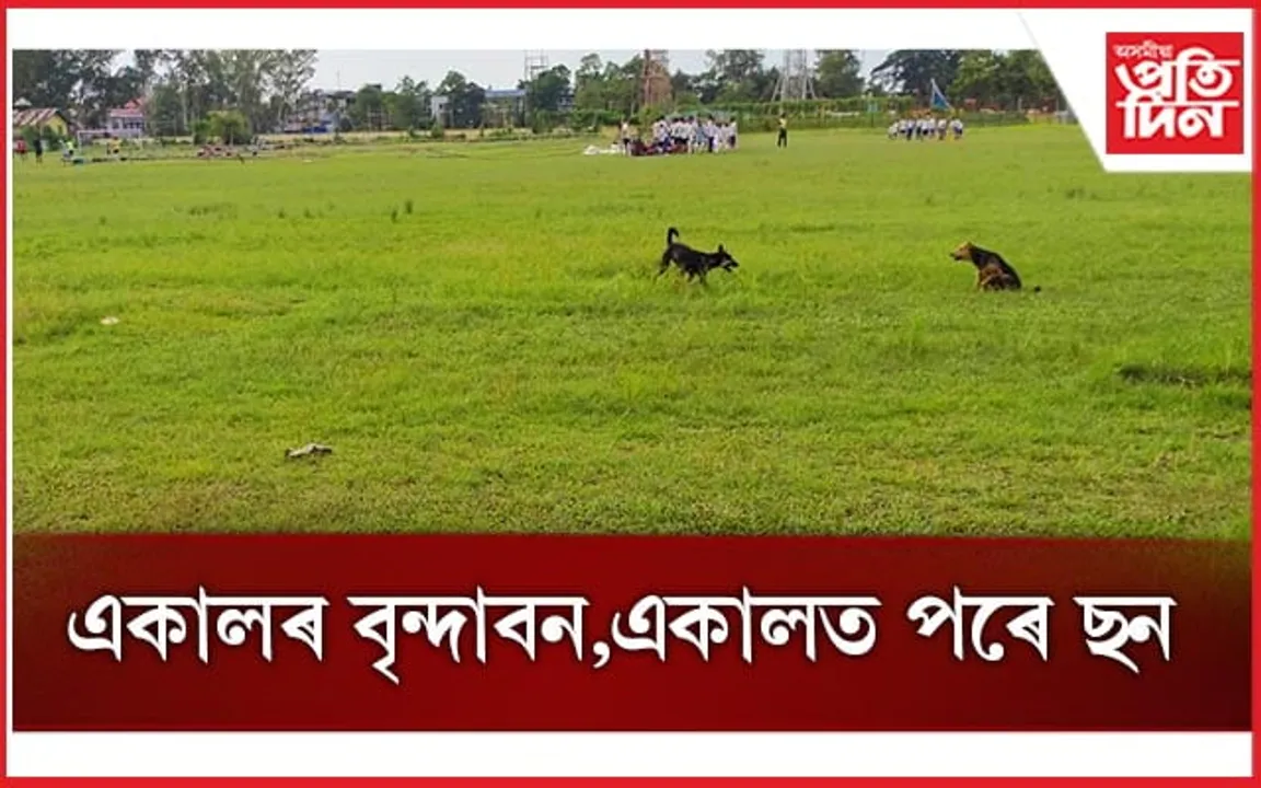 চৰণীয়া পথাৰত পৰিণত যোৰহাট ষ্টেডিয়াম : নিমাত ক্ৰীড়া বিভাগ