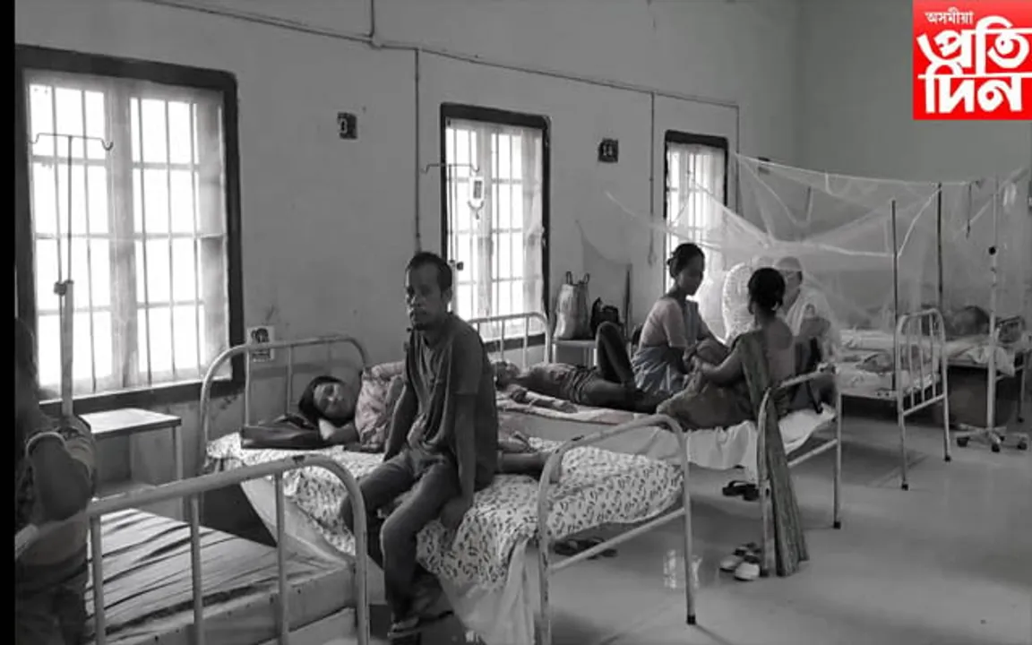 ধনশিৰি মহকুমাত বৃদ্ধি পাইছে ডেংগুৰ প্ৰাদুৰ্ভাৱ