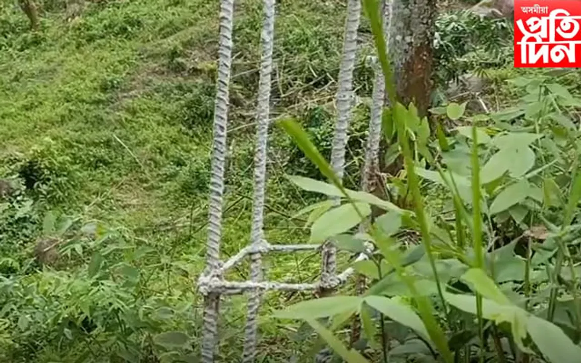 কাৰ্বি পাহাৰৰ হাতীৰ বিচৰণস্থলীত বহিৰাগত বণিকগোষ্ঠীৰ হোটেল নিৰ্মাণ