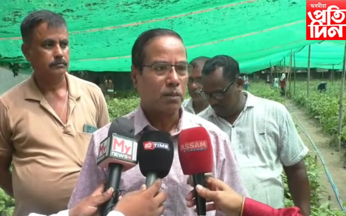 বৃক্ষ ৰোপনেৰে বিশ্ব অভিলেখ: দৰঙত সাজু ৩ লাখ গছপুলি