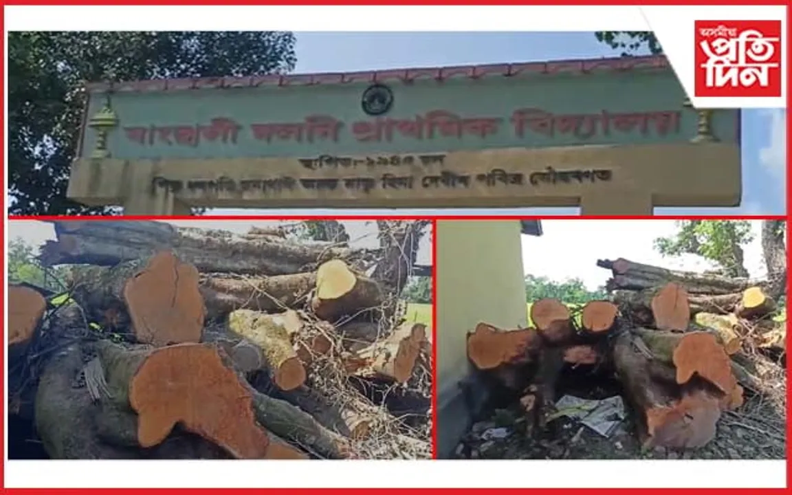 বিহালীত বীৰাপ্পানৰ ৰূপত বিজেপি নেতা...