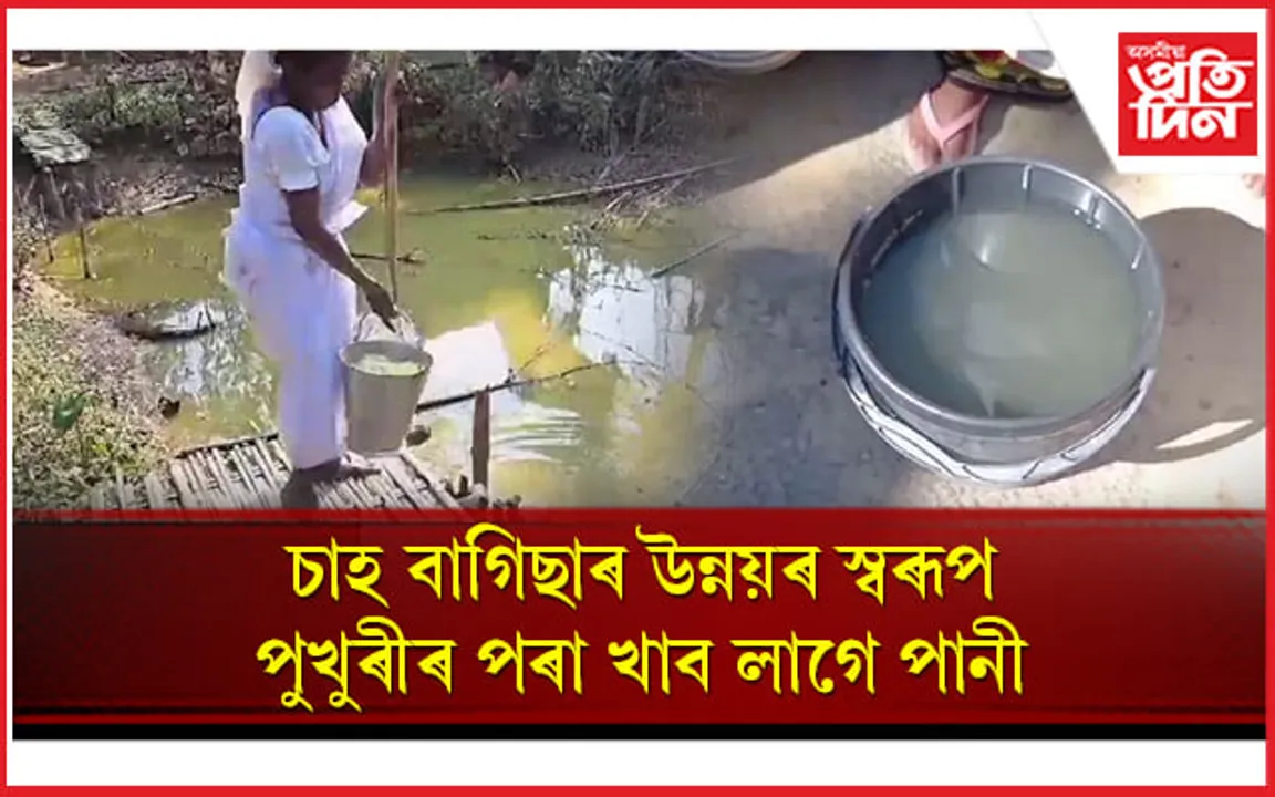 অস্তিত্বহীন জল জীৱন আঁচনি ! তিতাবৰৰ চাহ বাগিছাত নাই বিশুদ্ধ খোৱা পানীৰ ব্যৱস্থা...