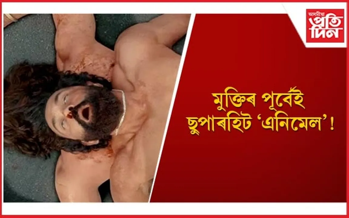 ৰণবীৰ-ৰশ্মিকাৰ যুটি, ববী দেউলৰ ‘কামবেক’ক লৈ উৎসুক হৈ পৰিছে অনুৰাগী