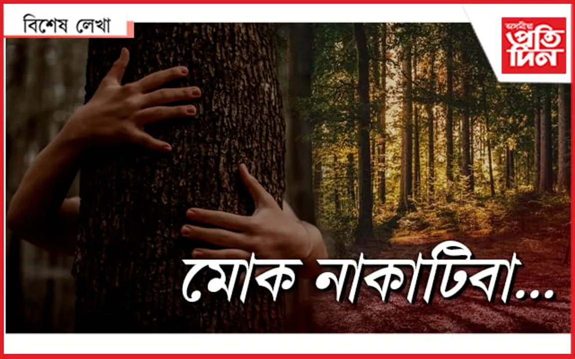 গীনিজেই নেকি সফলতাৰ চূড়ান্ত পৰ্যায়...! 