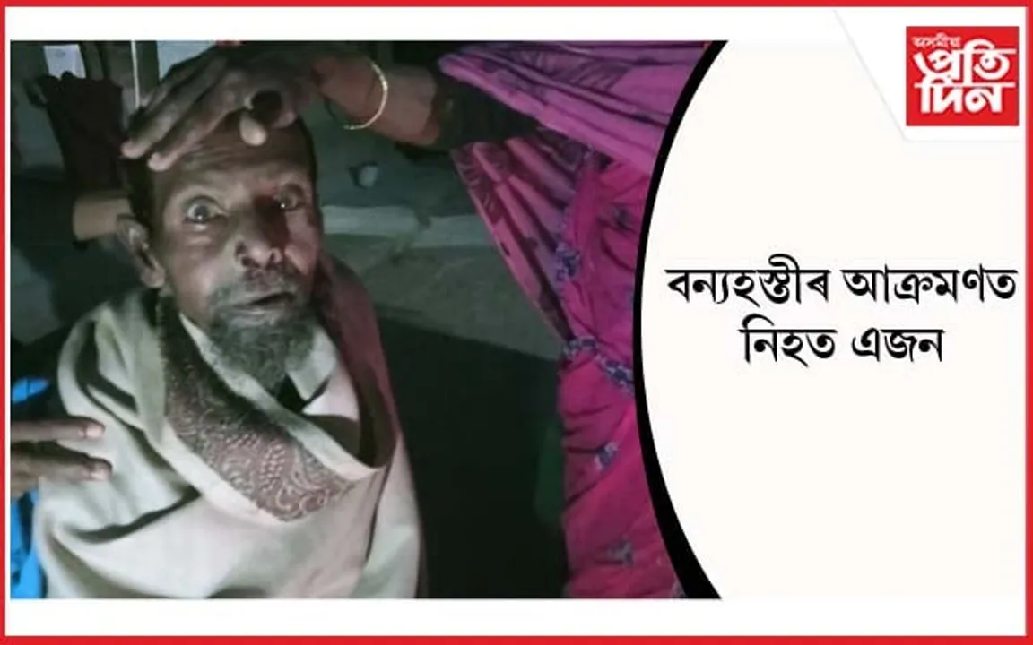 নামাজ আদায়লৈ যোৱাৰ অৱস্থাত বন্যহস্তীৰ আক্ৰমণত নিহত এজন... 