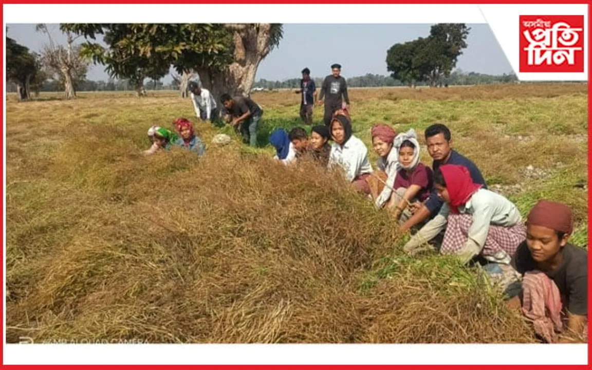 আলি আয়ে লৃগাংৰ প্ৰস্তুতিৰে ঢকুৱাখনাত যুৱ শক্তি নামিছে পথাৰত...