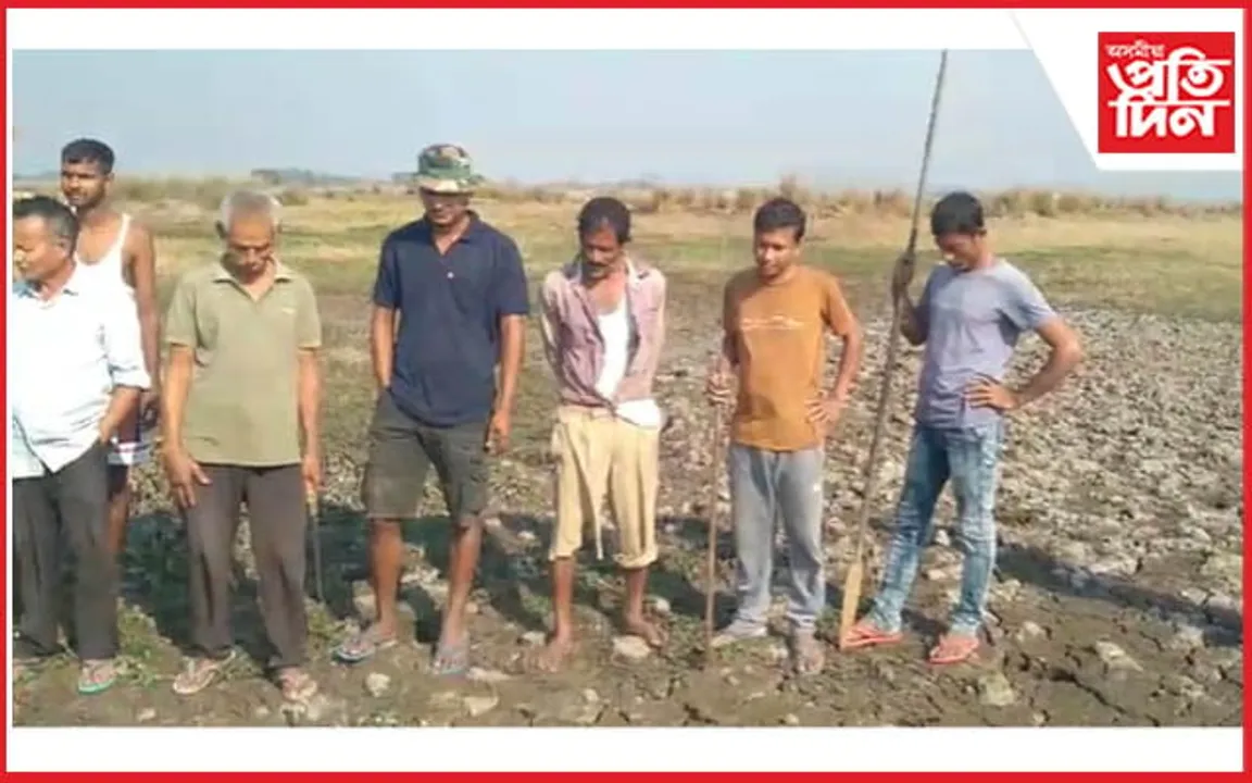 পুৰণিগুদামৰ ম'হপাৰাত বাঘৰ আতংক...