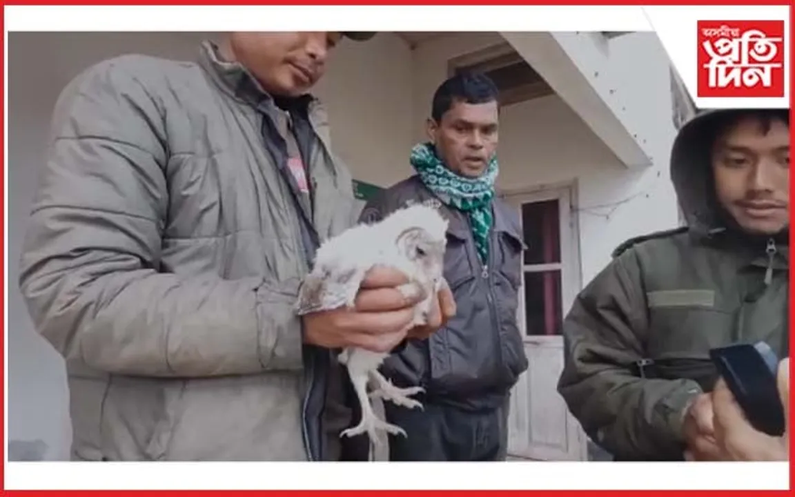 কঠীয়াতলীত লক্ষ্মী ফেঁচা উদ্ধাৰ