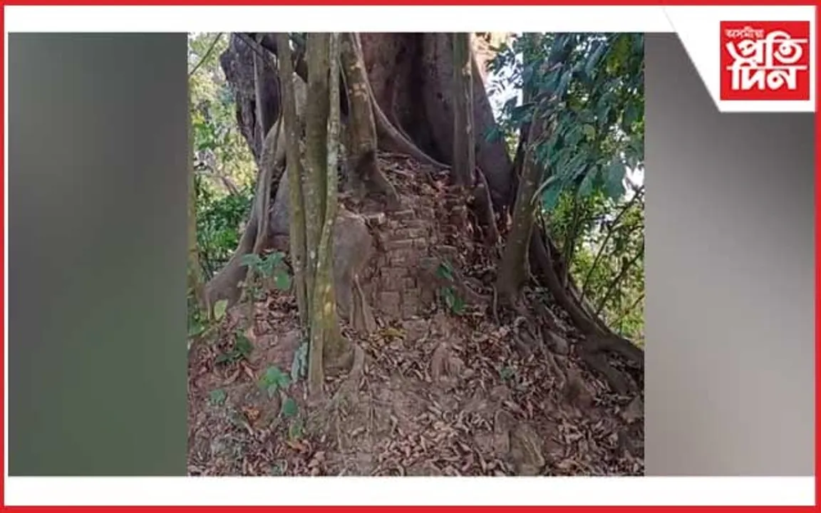 যোগ আৰু নেচাৰ’পেথি চিকিৎসালয় নিৰ্মাণে খামটি দৌলৰ অস্তিত্বত আঘাট সানিব নেকি?