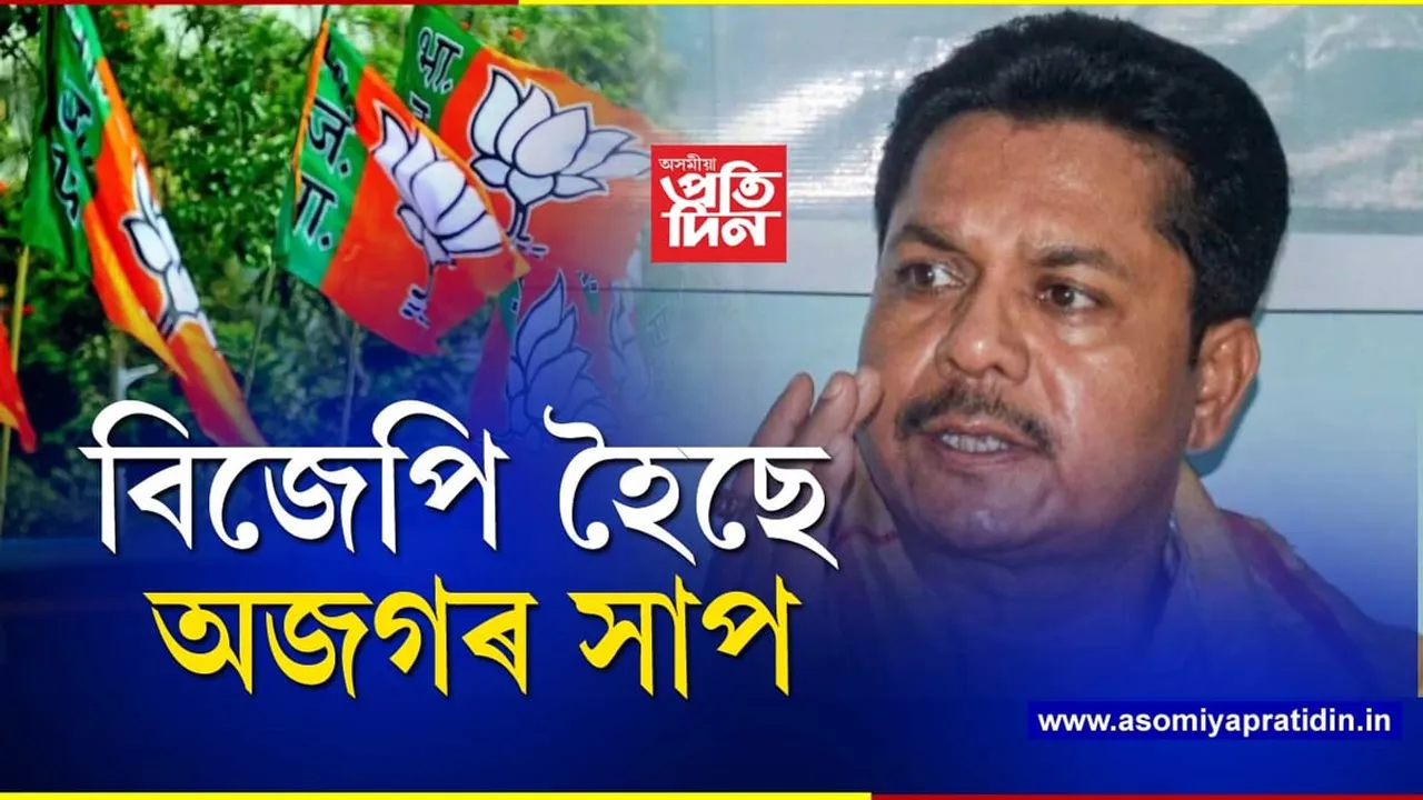 বিজেপি অজগৰ সাপ...
