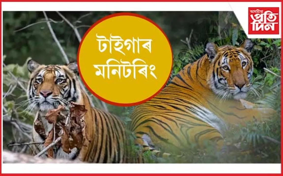 কাজিৰঙাত বনৰজাৰ গণনা প্ৰক্ৰিয়া