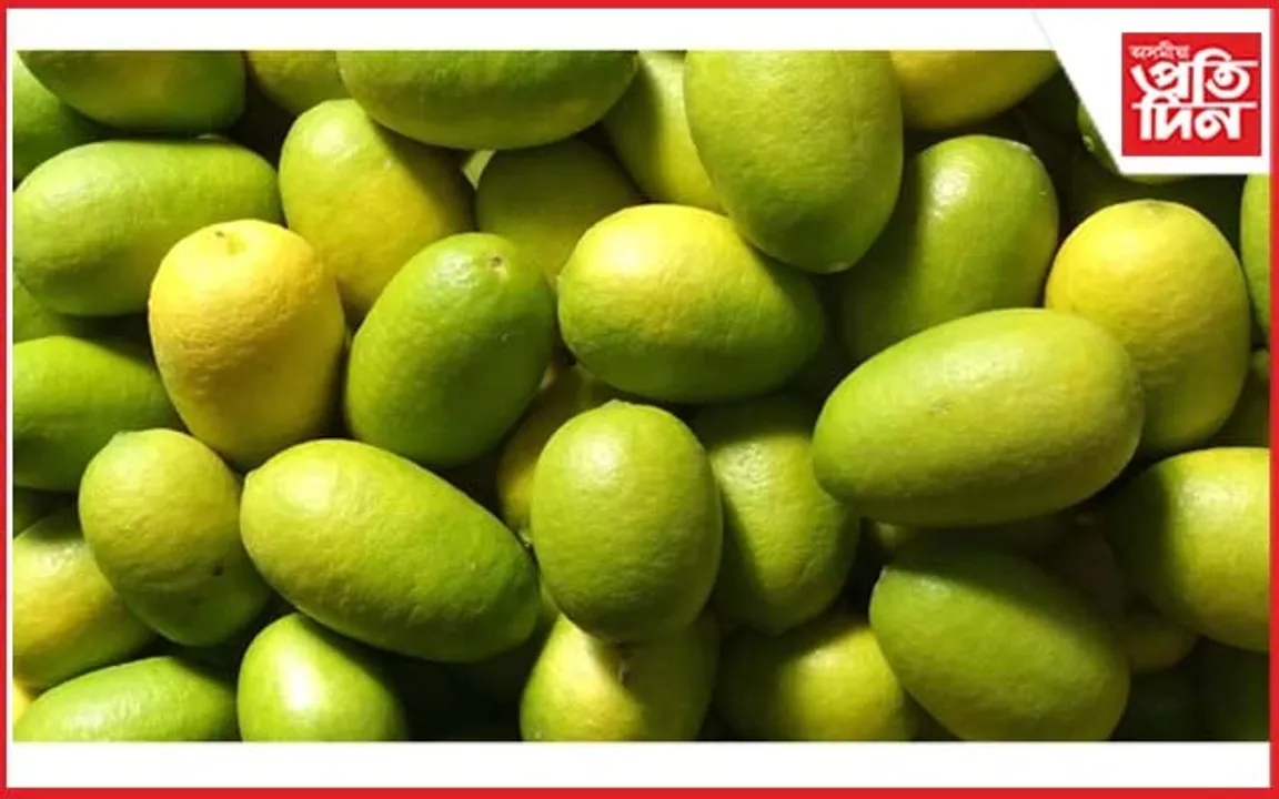 নেমু খেতিৰে স্বাৱলম্বী হোৱাৰ প্ৰয়াস কৃষকৰ