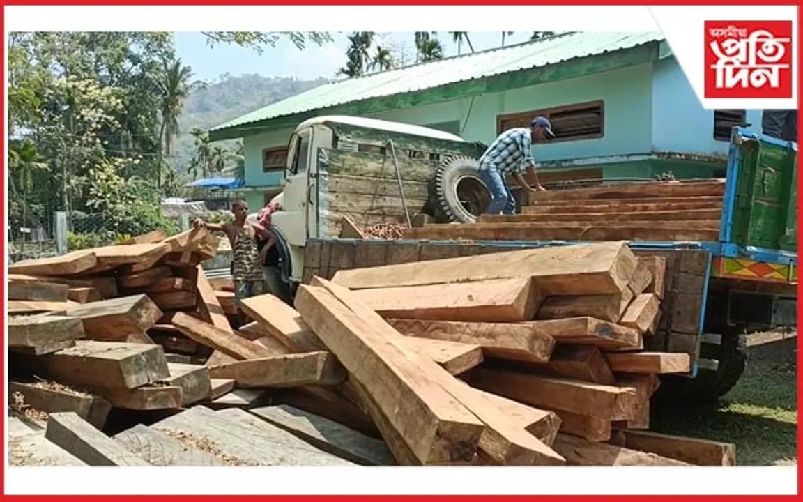 কাজিৰঙা, কাৰ্বি আংলঙৰ বন কৰ্মীৰ অভিযানত বৃহৎ পৰিমাণৰ কাঠ জব্দ...