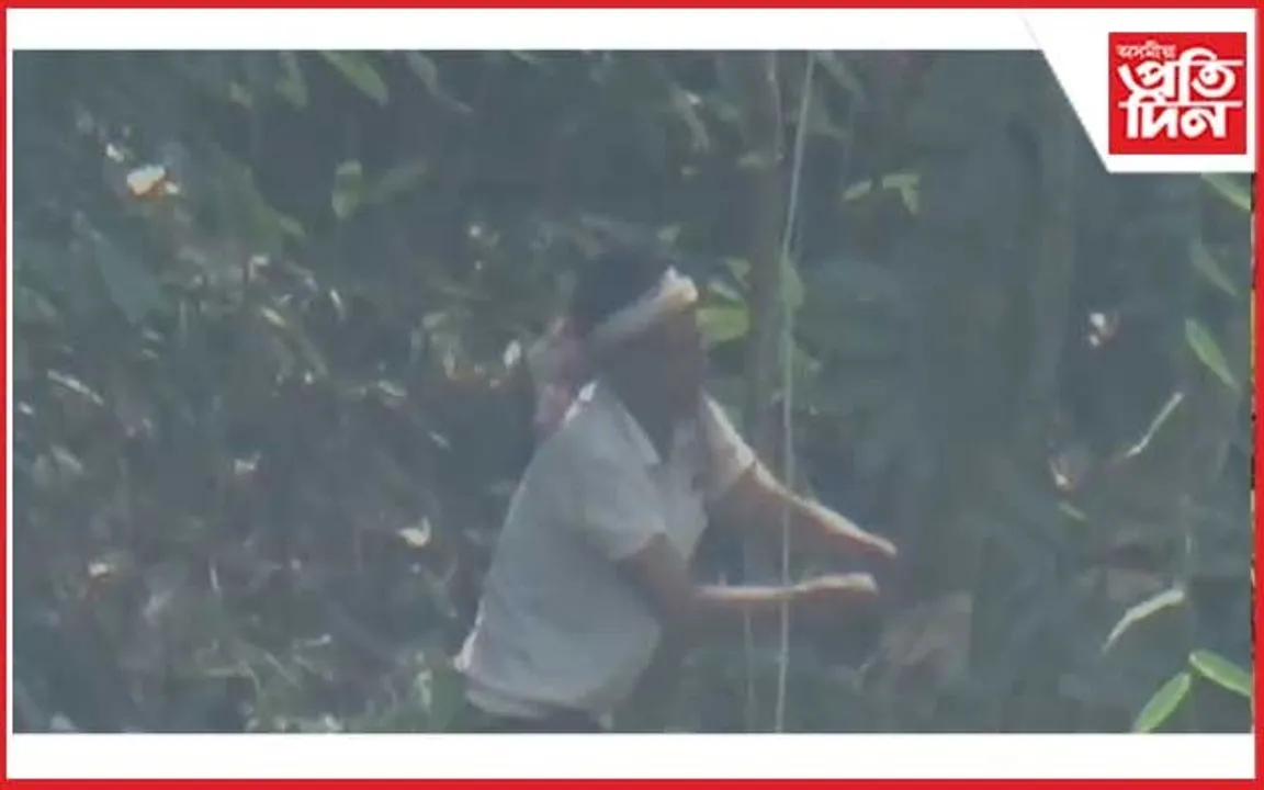 মেৰাপানীত নগাৰ আগ্ৰাসন অব্যাহত...
