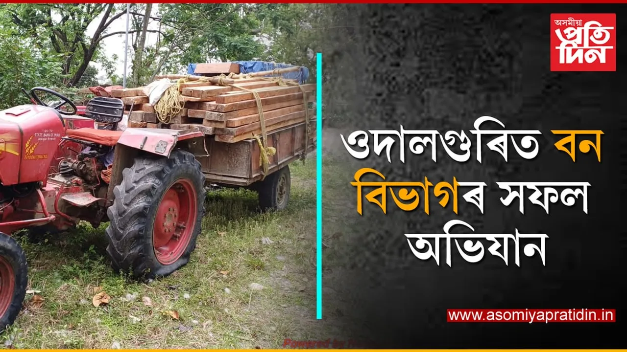 ওদালগুৰিৰ মাজবাট আঞ্চলিক বন বিভাগৰ সফল অভিযান...