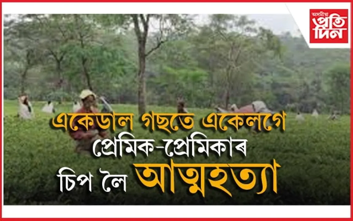 ডুমডুমাত যুৱক-যুৱতীৰ একেলগে চিপ লৈ আত্মহত্যা...
