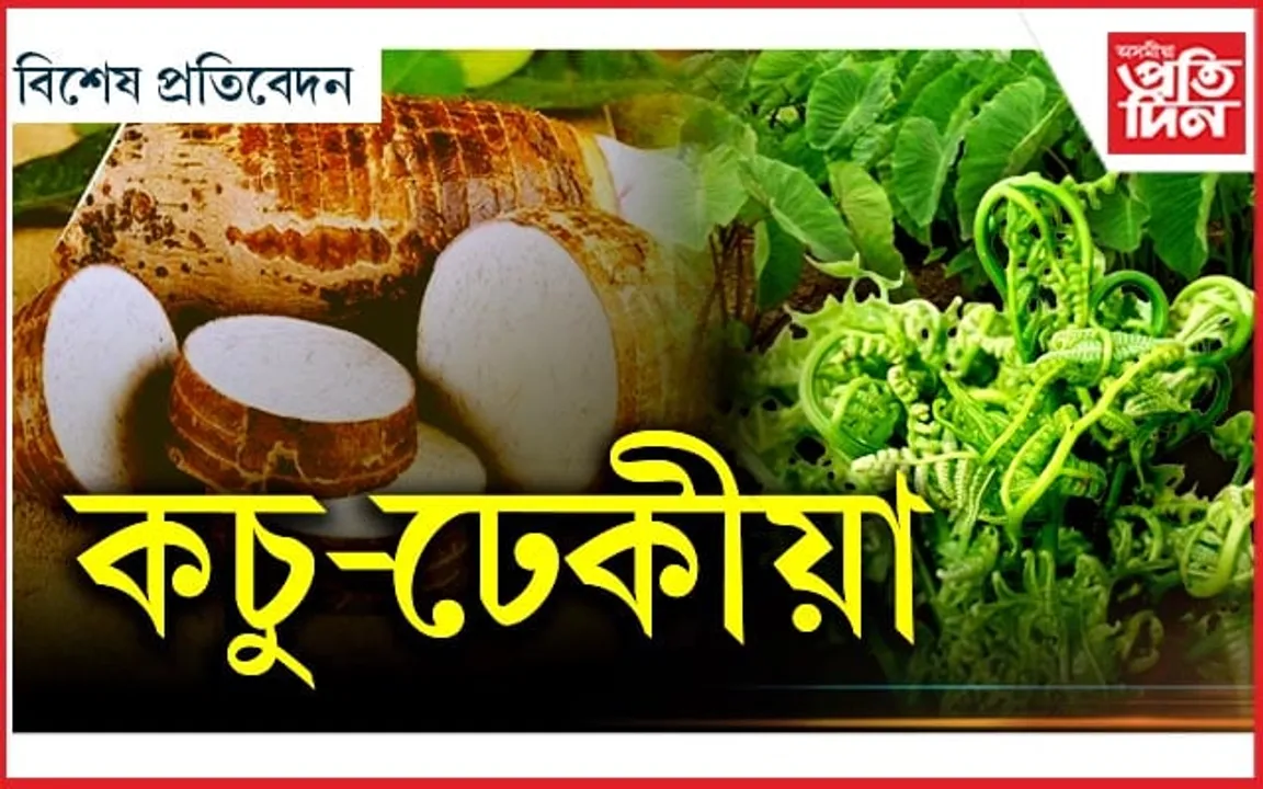 ঢেকীয়া-ঔটেঙা-মাছ,কচু-জালুক মুৰ্গীৰ জোল, বুজাইহে বুজিব ইয়াৰ মোল...