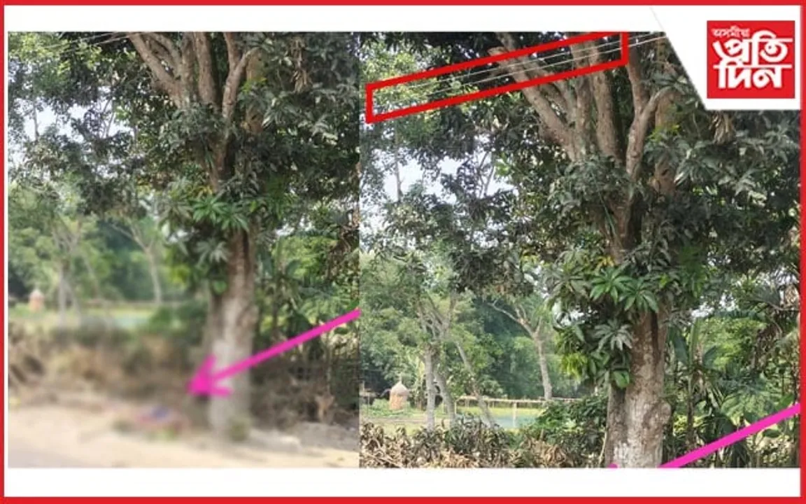মঙলদৈত আম পাৰিবলৈ গৈ বিদ্যুৎস্পৃষ্ট হৈ এজনৰ মৃত্যু...