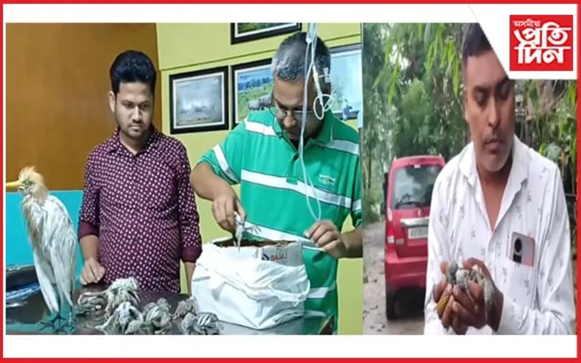 ধুমুহাত আঘাতপ্ৰাপ্ত বগলীক উদ্ধাৰ কৰি চিকিৎসা প্ৰদান সাংবাদিকৰ