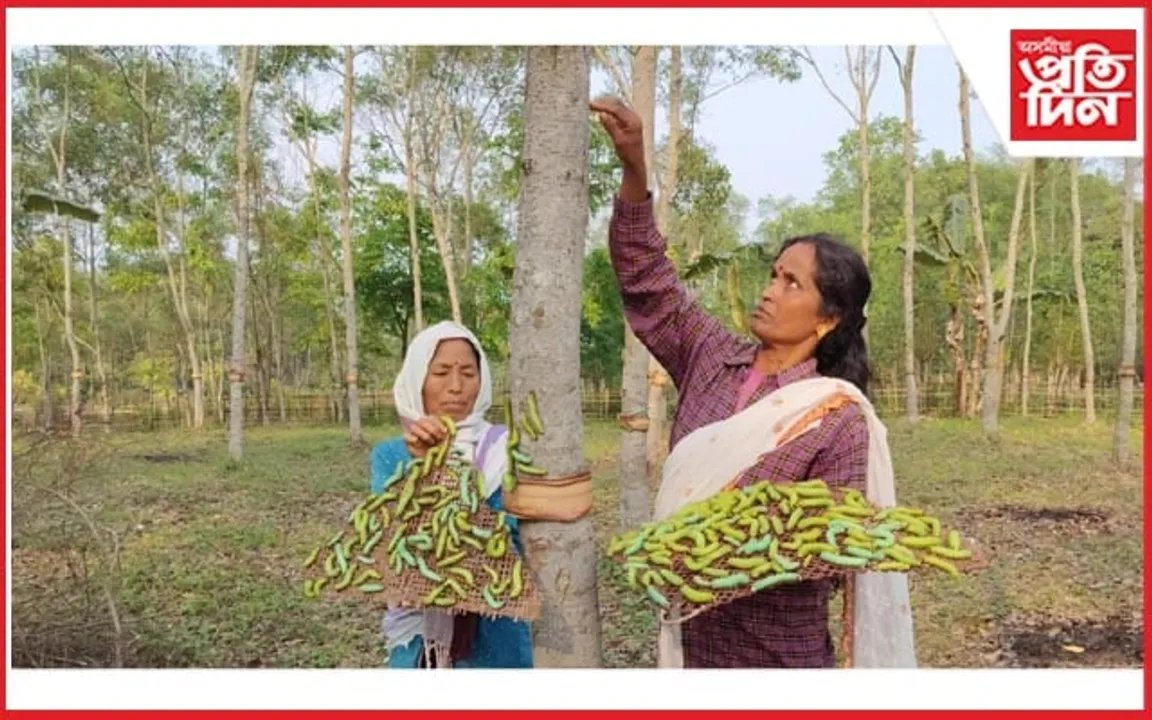 ঢকুৱাখনাৰ মুগা চুমনীত বৰমুগা দিৱস উপলক্ষে চোম পুলি ৰোপণ