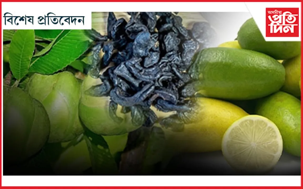 টেঙাক নকৰিবা হেলা,টেঙাই তৰিব বিপদৰ বেলা...